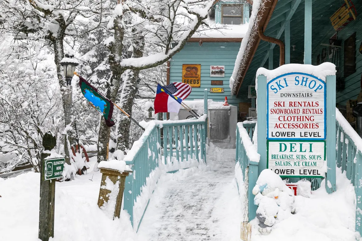 A vibrant scene outside a ski shop and deli, with snow-covered paths, colorful flags, and surrounding trees. The lively exterior suggests a community atmosphere and potential for social outings with pets, near the mountain retreat.