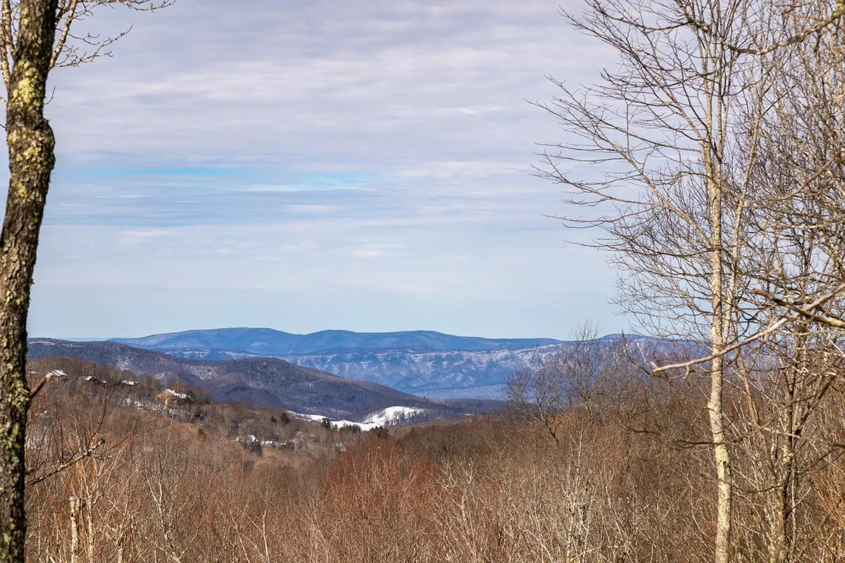A sweeping view of distant mountains framed by bare trees under an open sky, evoking feelings of serenity and adventure. The vantage point implies opportunities for hiking, wildlife watching, or simply taking in the ever-changing mountain landscape.